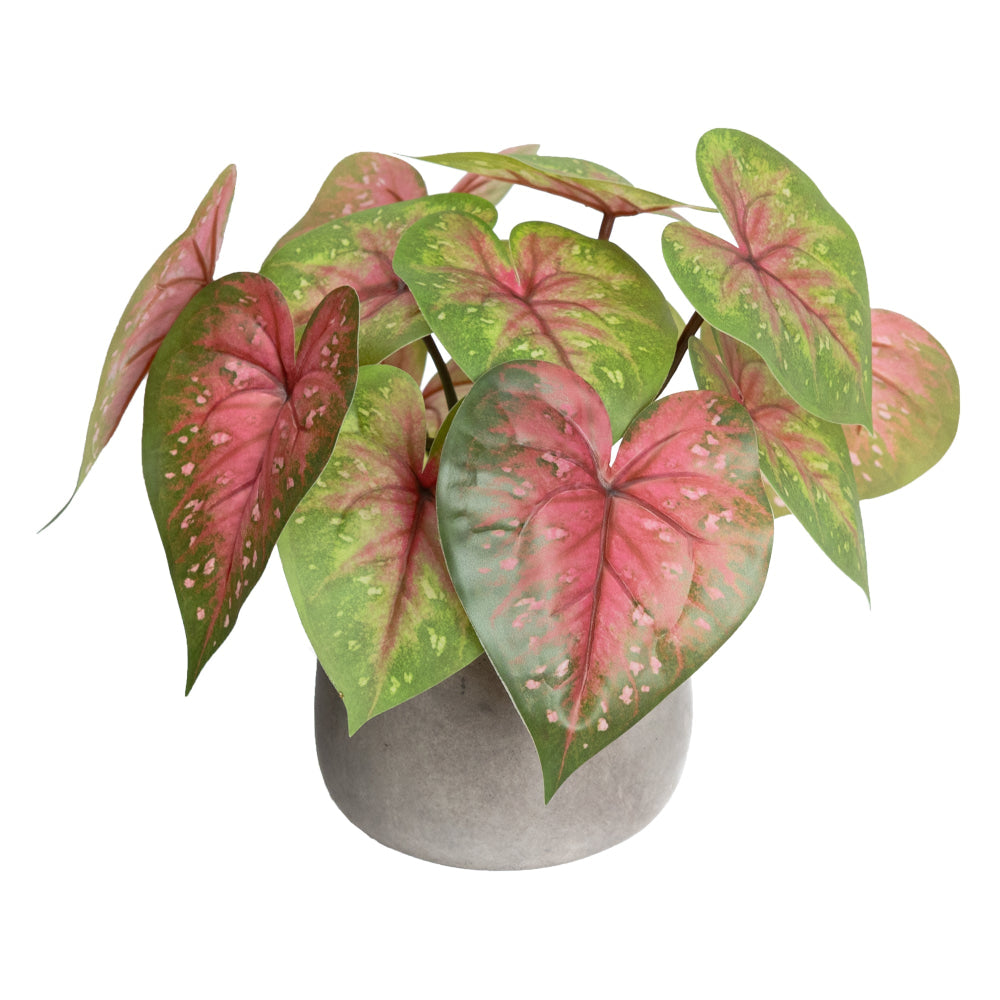 Red Caladium 30cm Artificial Plant Flower Arrangement Decorative In Pot Fast shipping On sale