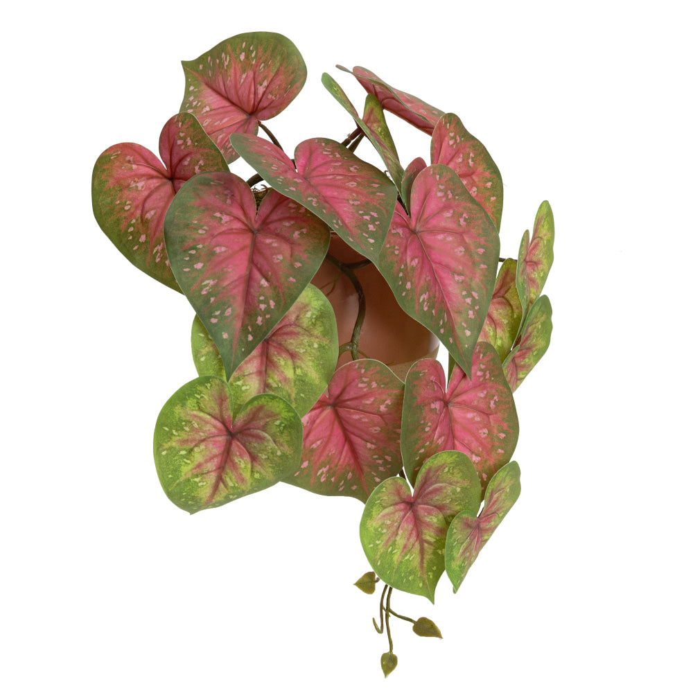 Red Caladium 35cm Artificial Plant Flower Arrangement Decorative In Luxe Pot Fast shipping On sale