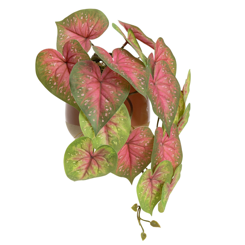 Red Caladium 35cm Artificial Plant Flower Arrangement Decorative In Luxe Pot Fast shipping On sale
