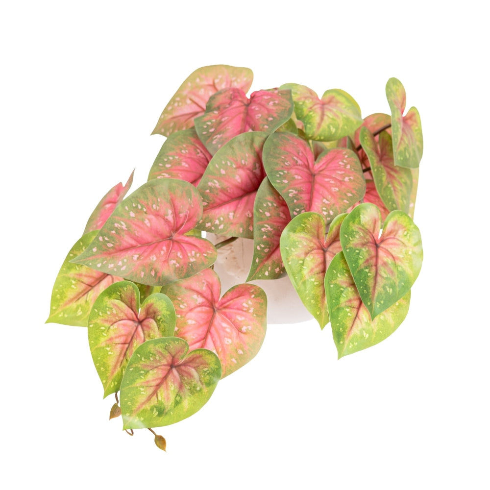 Red Caladium Bush 46cm Artificial Faux Plant Decorative In Pot Fast shipping On sale