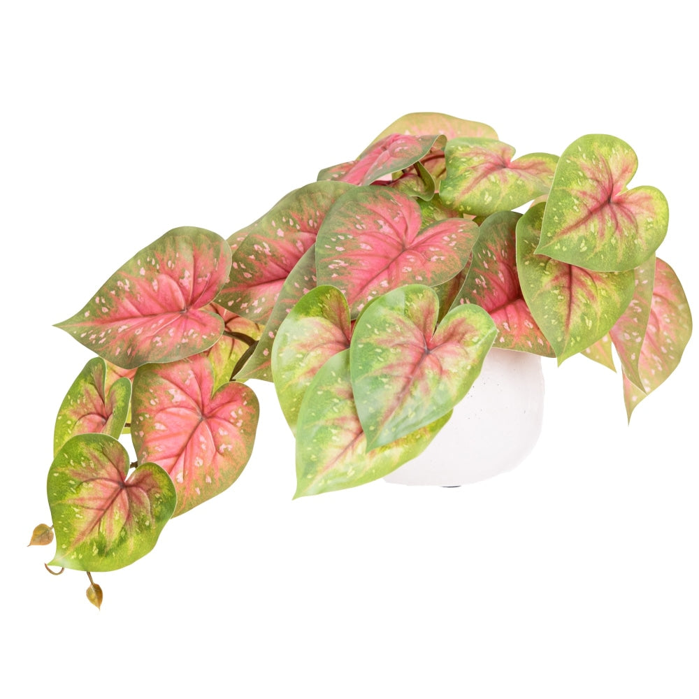 Red Caladium Bush 46cm Artificial Faux Plant Decorative In Pot Fast shipping On sale