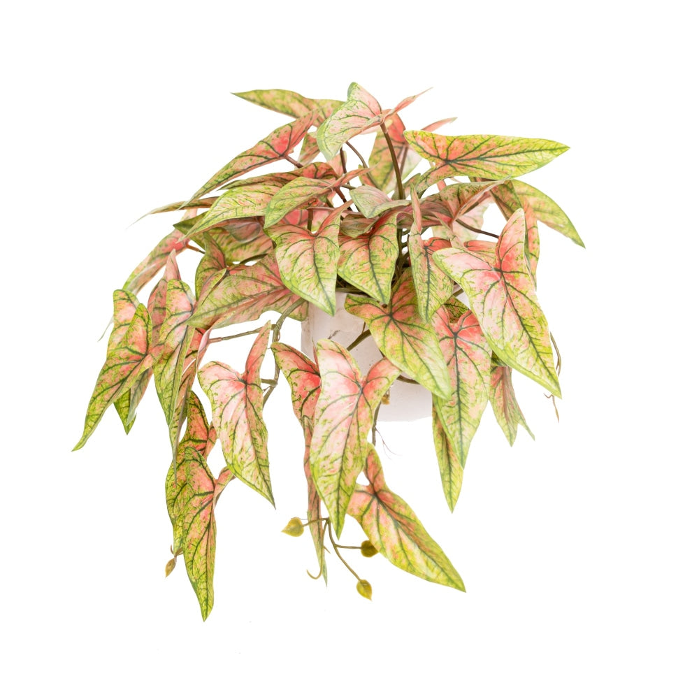 Red Syngonium Bush 30cm Artificial Faux Plant Decorative In Pot Fast shipping On sale