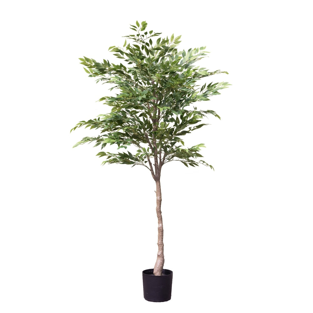 Ruscus Tree 182cm Artificial Faux Plant Decorative Green Fast shipping On sale