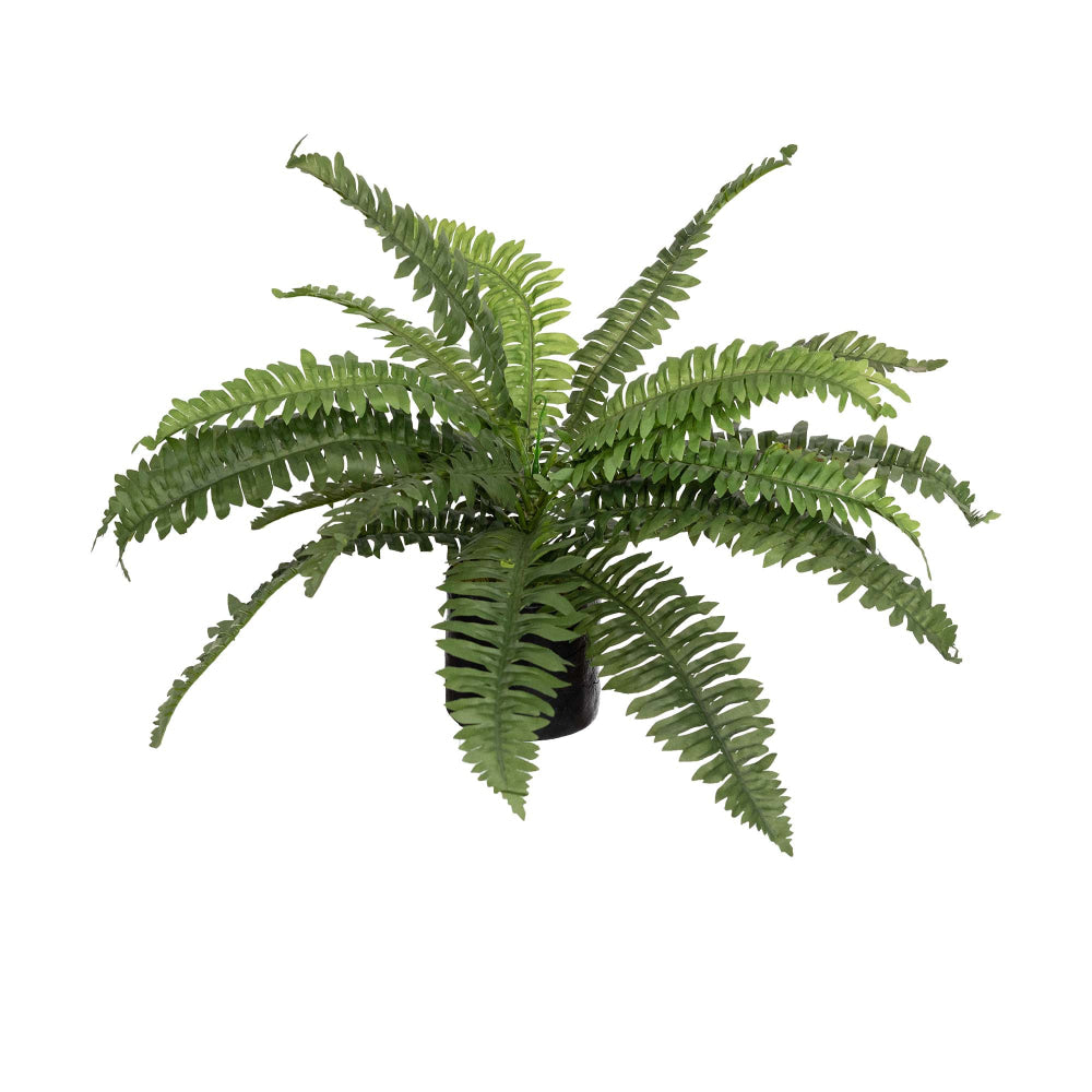 Set Of 2 Boston Fern Artificial Fake Plant Decorative In Pot - Green Fast shipping On sale