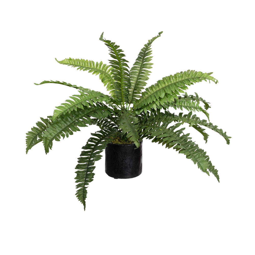Set Of 2 Boston Fern Artificial Fake Plant Decorative In Pot - Green Fast shipping On sale
