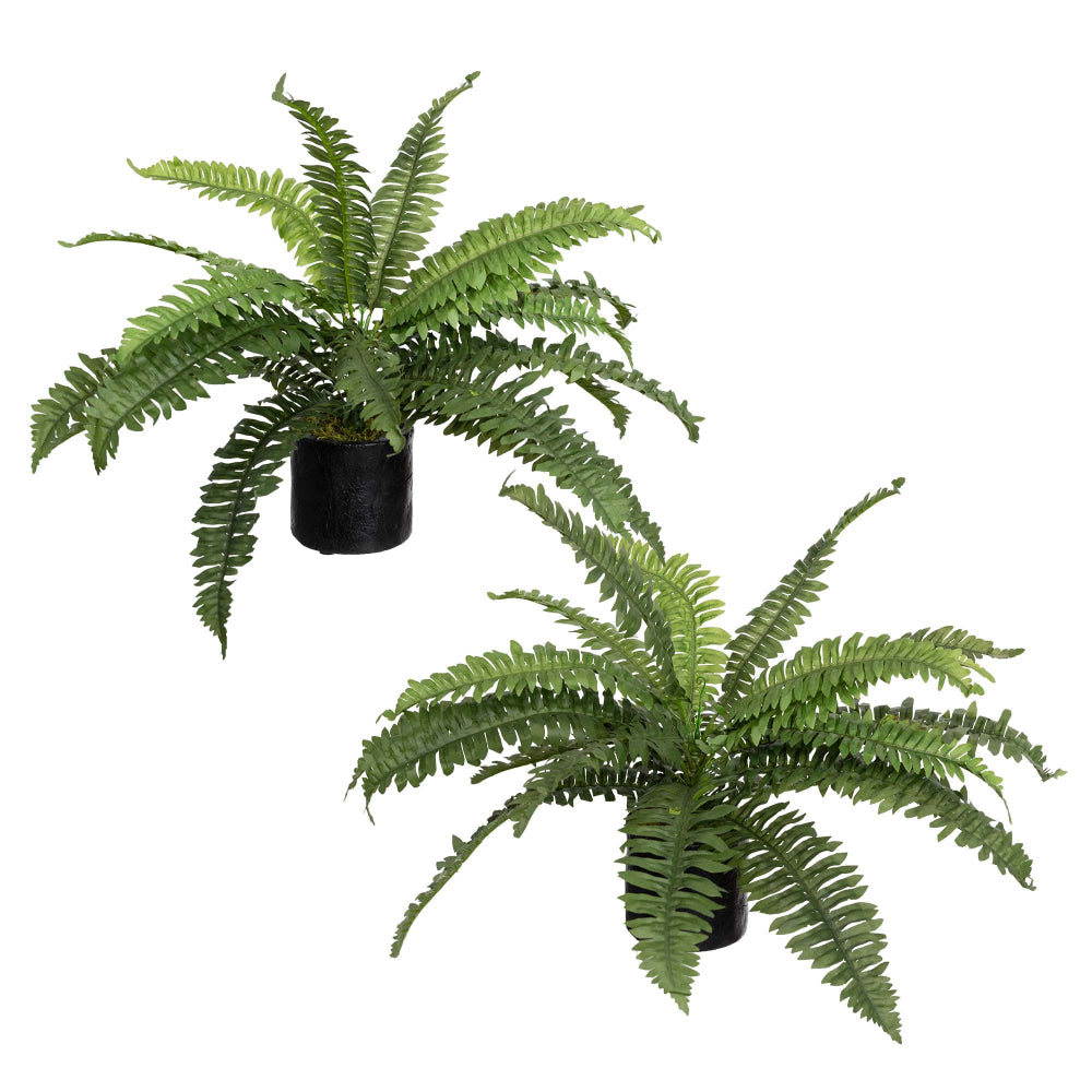 Set Of 2 Boston Fern Artificial Fake Plant Decorative In Pot - Green Fast shipping On sale