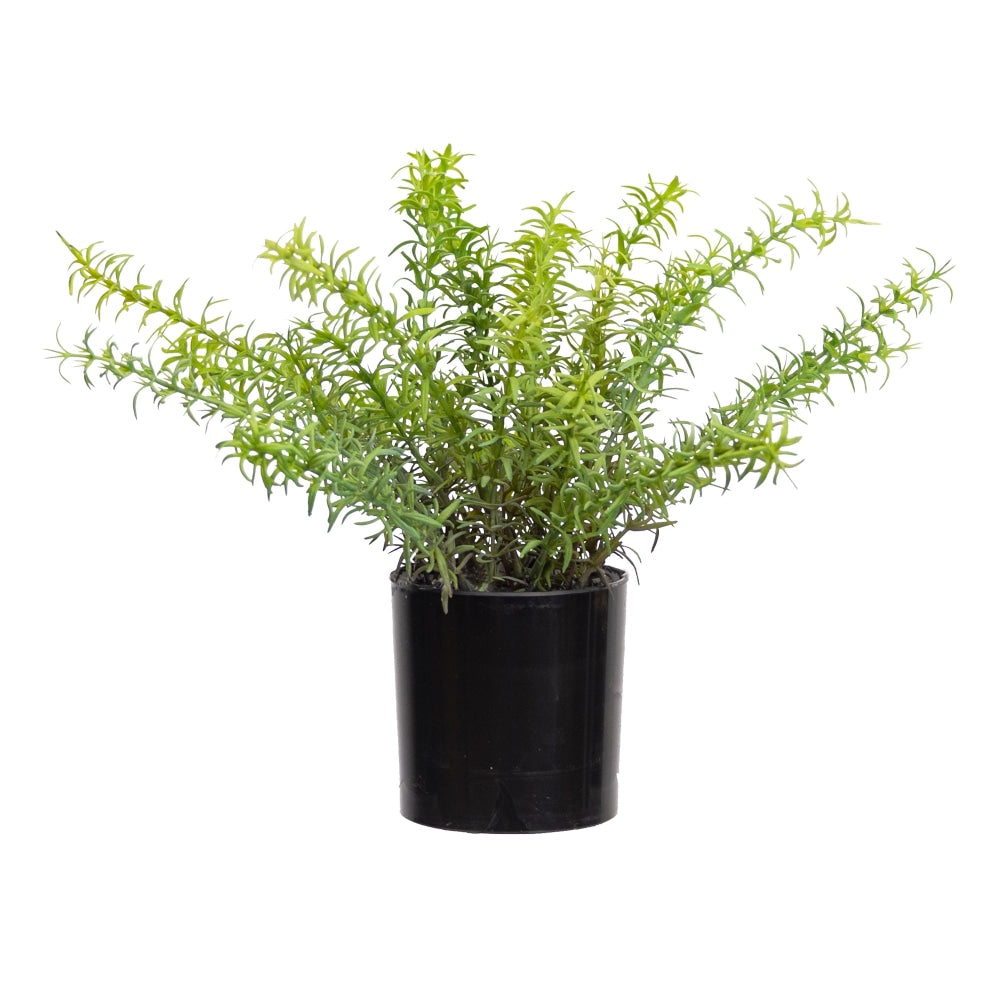 Set Of 2 Rosemary Artificial Faux Plant Decorative In Green Fast shipping On sale
