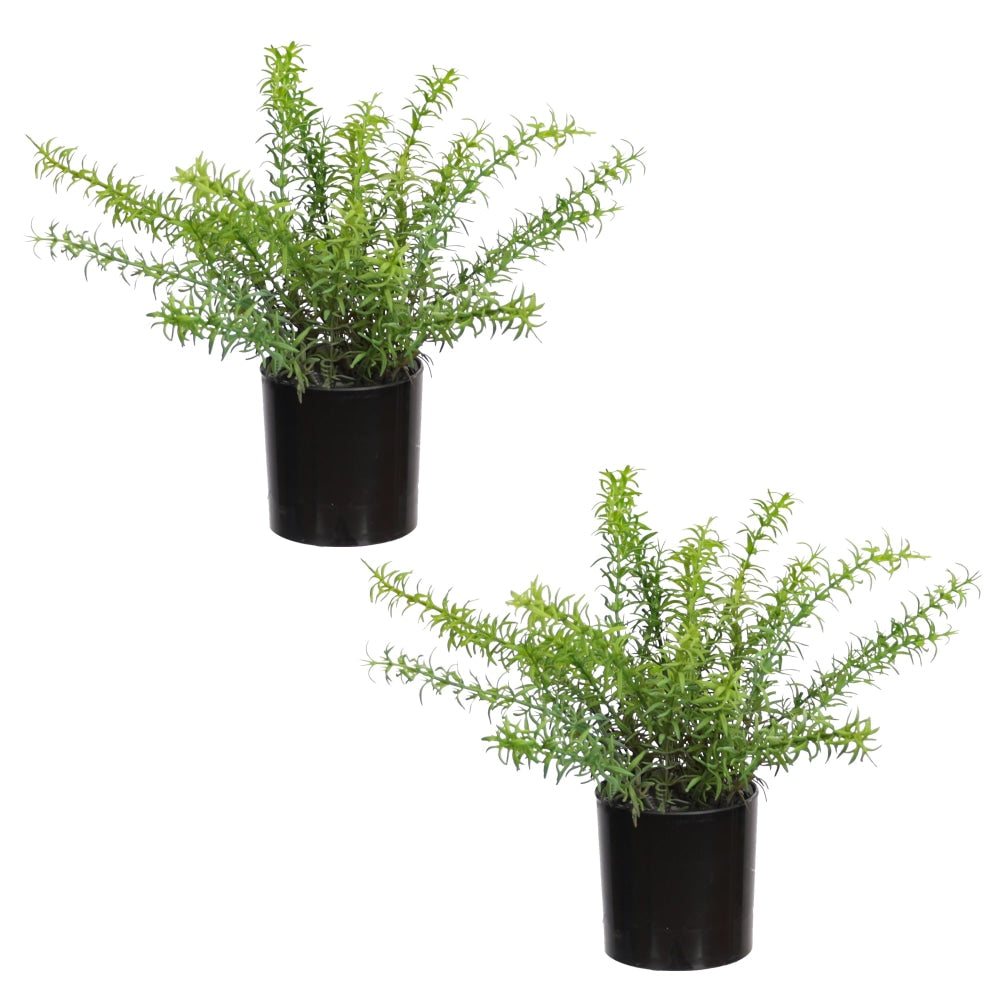 Set Of 2 Rosemary Artificial Faux Plant Decorative In Green Fast shipping On sale