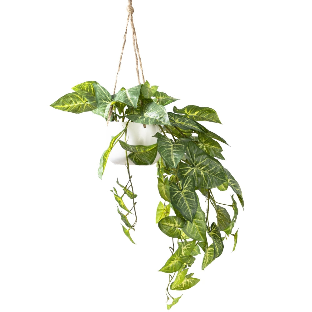 Syngonium 80cm Artificial Faux Plant Decorative In Hanging Pot Green Fast shipping On sale
