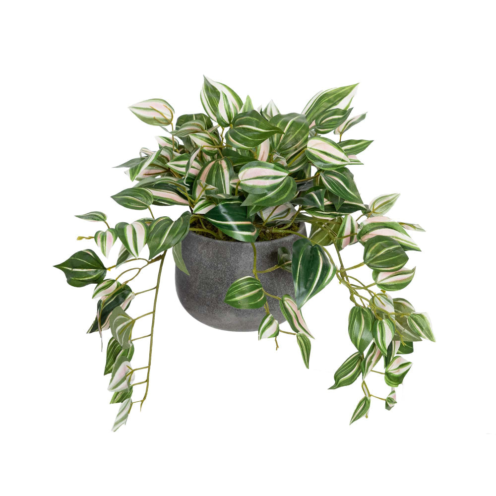 Wandering Jew 32cm Artificial Faux Plant Decorative In Pot Green Fast shipping On sale