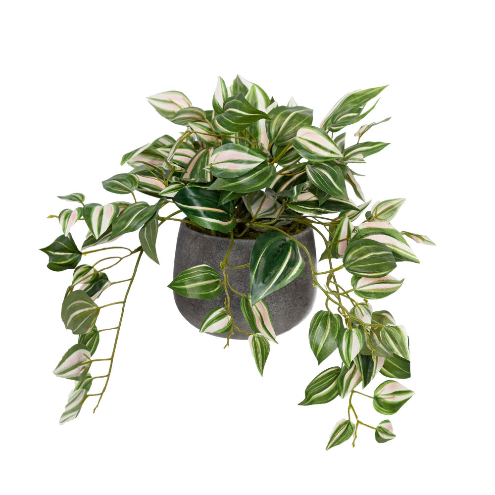Wandering Jew 32cm Artificial Faux Plant Decorative In Pot Green Fast shipping On sale