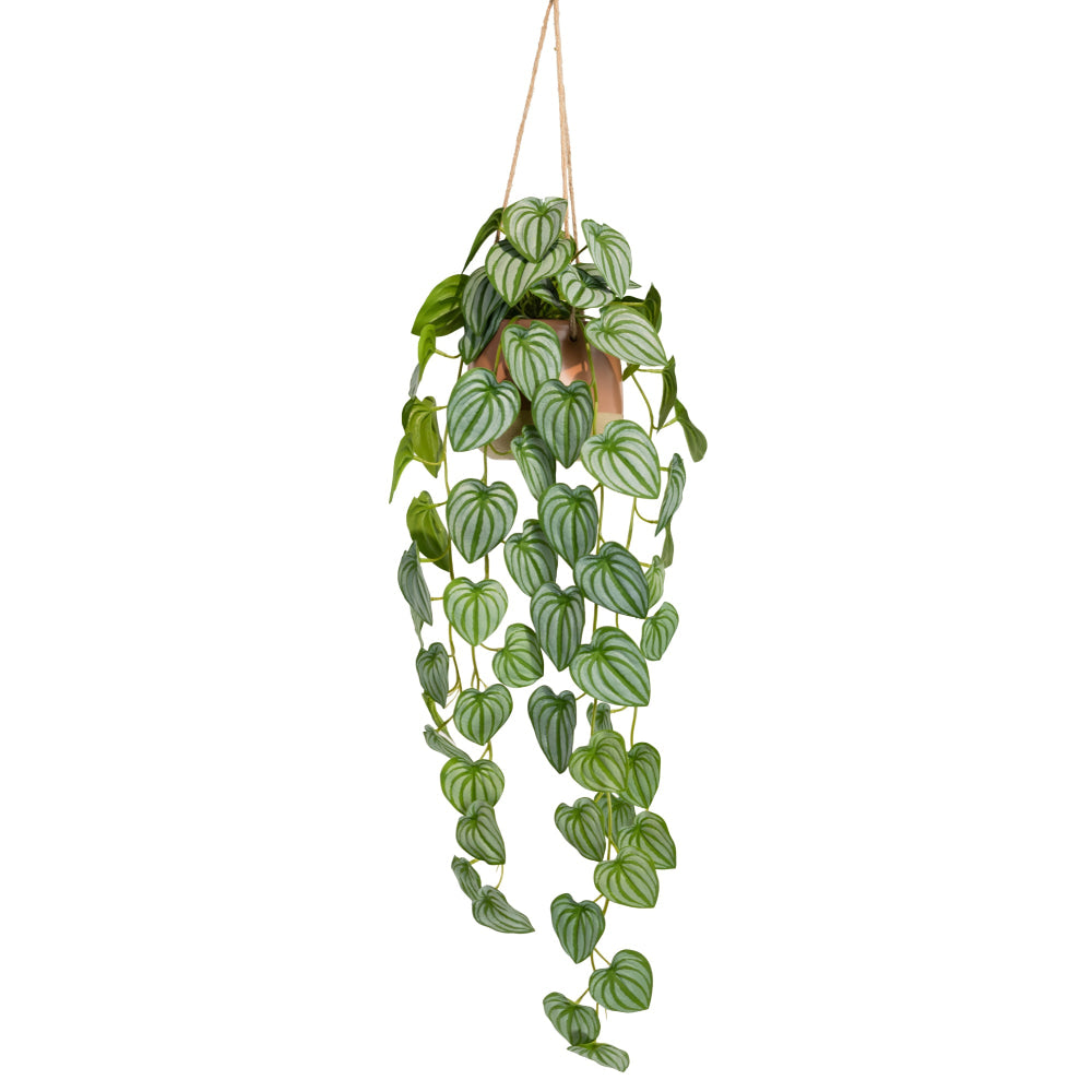 Watermelon Bush 105cm Artificial Plant Flower Arrangement Decorative In Hanging Planter Fast shipping On sale
