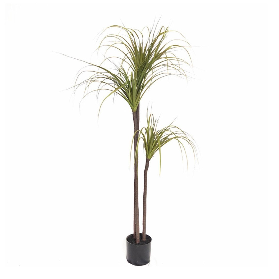 145cm Green Artificial Indoor Dragon Blood Tree Fake Plant Decorative Fast shipping On sale