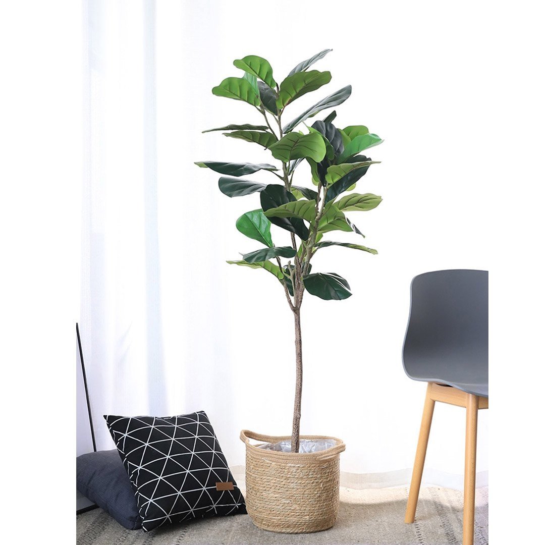 155cm Green Artificial Indoor Qin Yerong Tree Fake Plant Simulation Decorative Fast shipping On sale