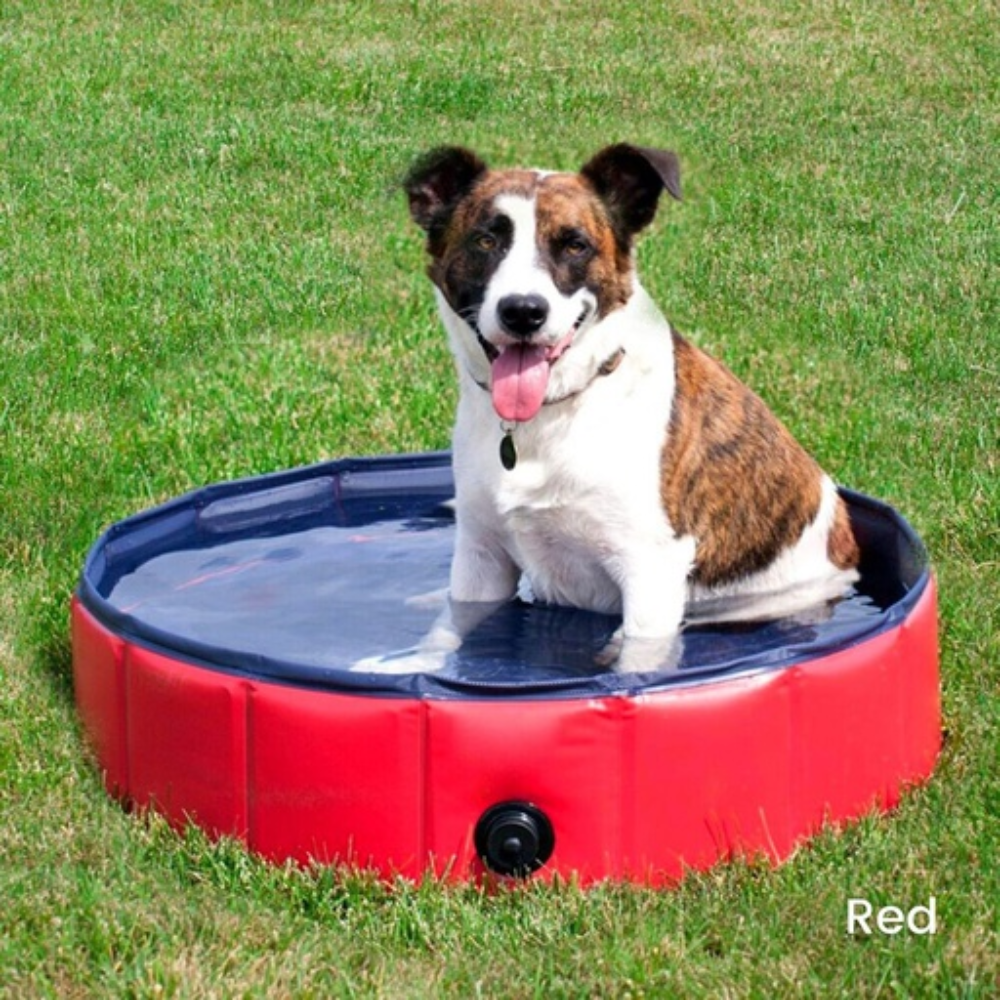 Portable Pet Pool 120cm*30cm Red Dog Cares Fast shipping On sale