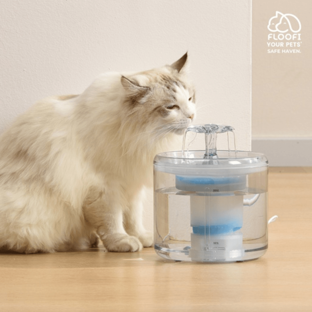 2.6L Automatic Water Fountain Drinking Dispenser And Filter Cat Cares Fast shipping On sale