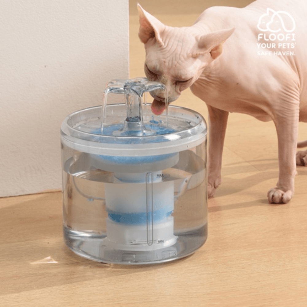 2.6L Automatic Water Fountain Drinking Dispenser Replacement Filter 6 Piece Cat Cares Fast shipping On sale