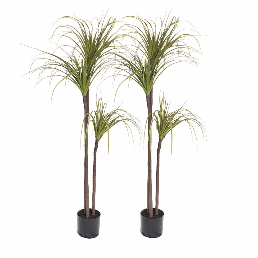2X 145cm Green Artificial Indoor Dragon Blood Tree Fake Plant Decorative Fast shipping On sale