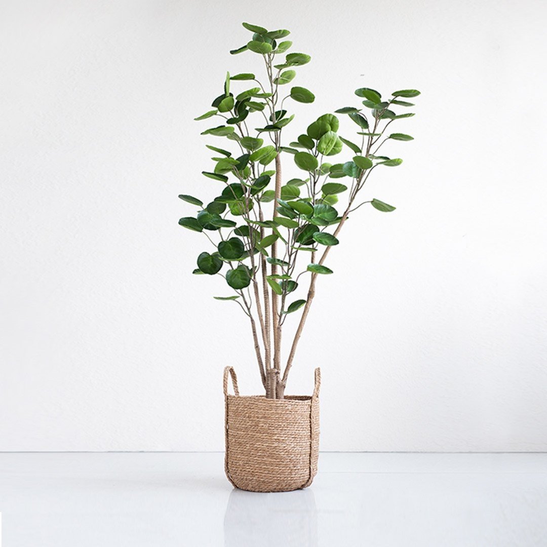 2X 150cm Green Artificial Indoor Pocket Money Tree Fake Plant Simulation Decorative Fast shipping On sale