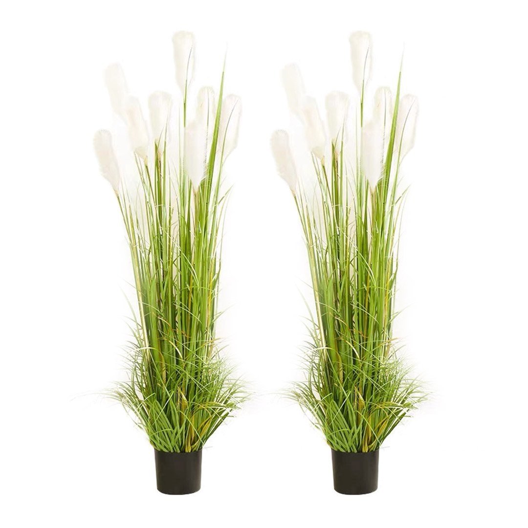 2X 150cm Green Artificial Indoor Potted Reed Grass Tree Fake Plant Simulation Decorative Fast shipping On sale