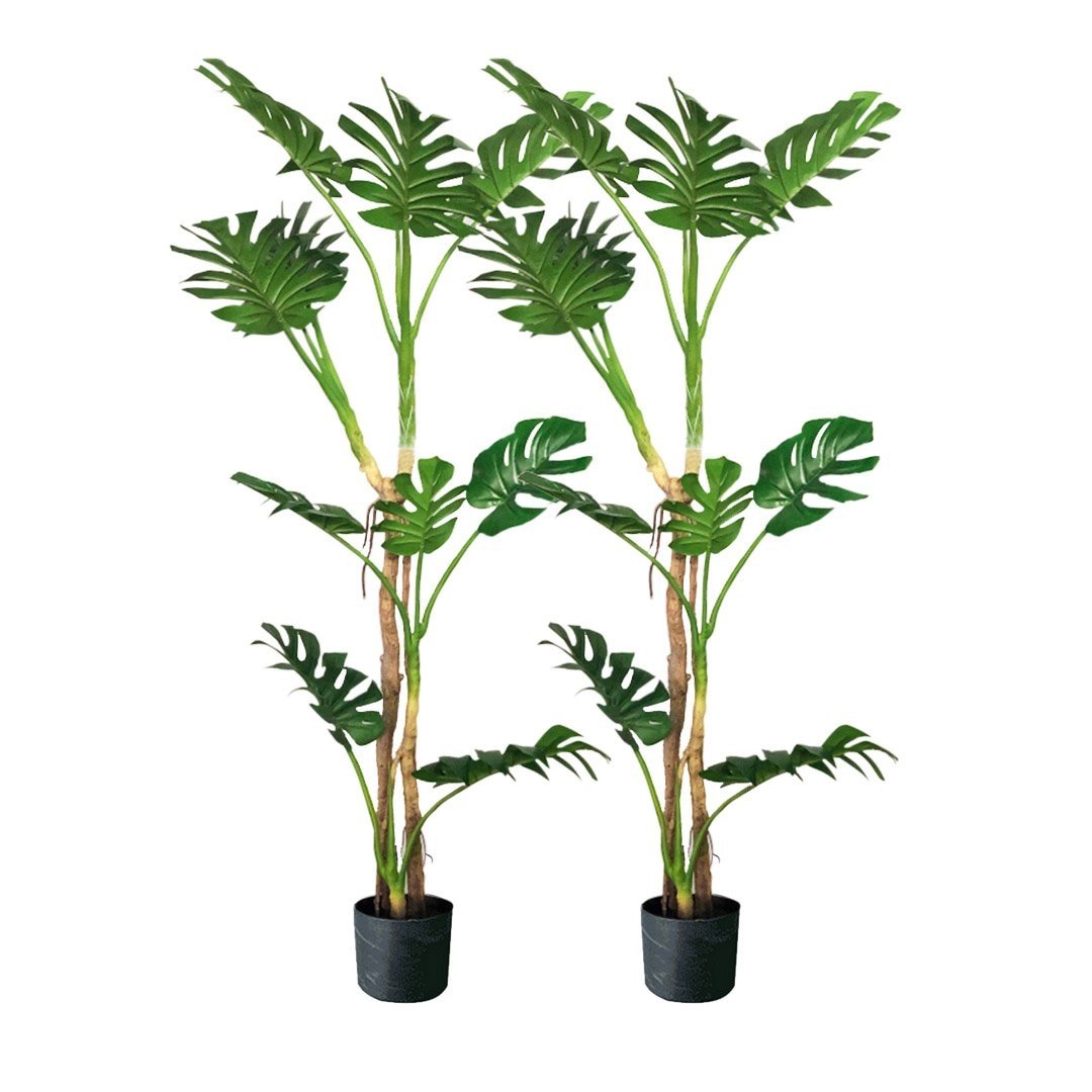 2X 175cm Green Artificial Indoor Turtle Back Tree Fake Fern Plant Decorative Fast shipping On sale