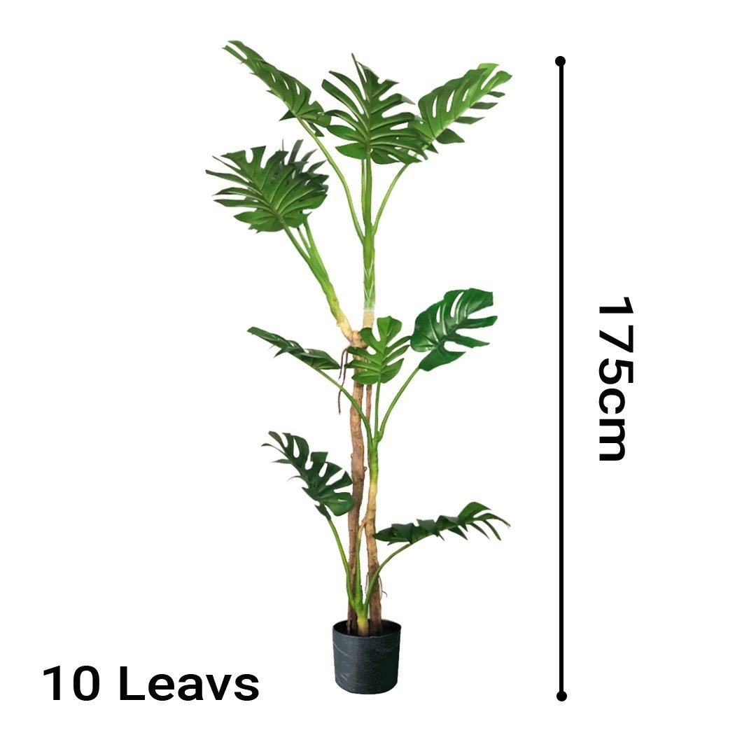 2X 175cm Green Artificial Indoor Turtle Back Tree Fake Fern Plant Decorative Fast shipping On sale