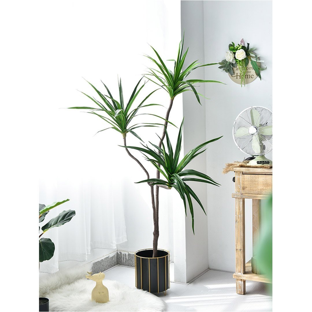 2X 180cm Green Artificial Indoor Brazlian Iron Tree Fake Plant Decorative 3 Heads Fast shipping On sale