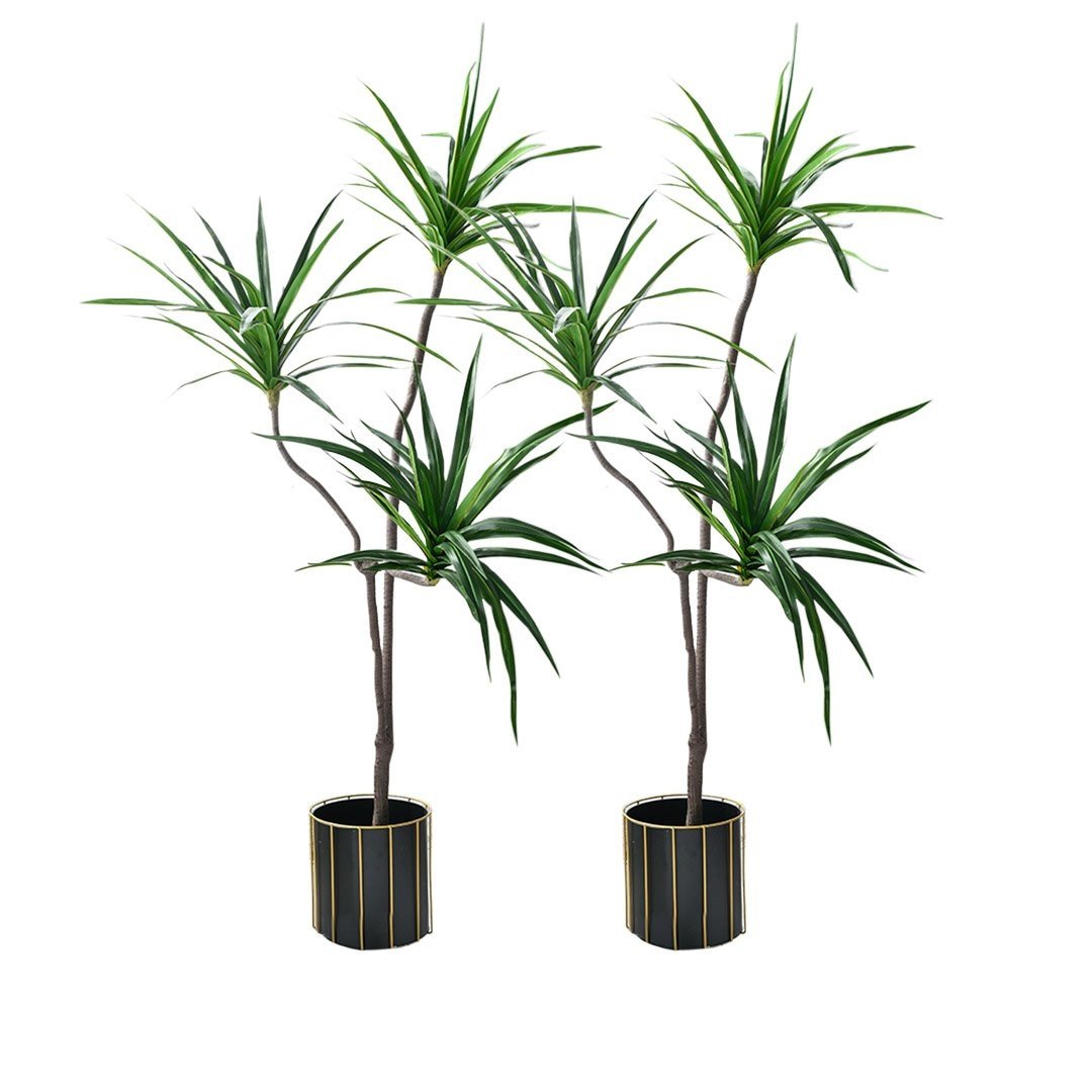 2X 180cm Green Artificial Indoor Brazlian Iron Tree Fake Plant Decorative 3 Heads Fast shipping On sale