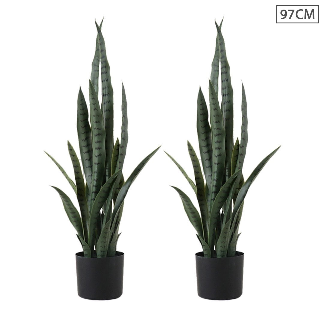 artificial snake plant canada Momentous Living