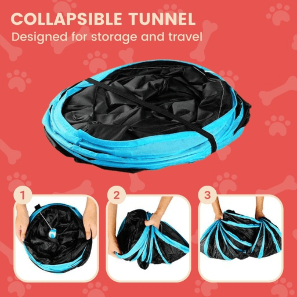 4 Holes Cat Tunnel (Blue) Cares Fast shipping On sale