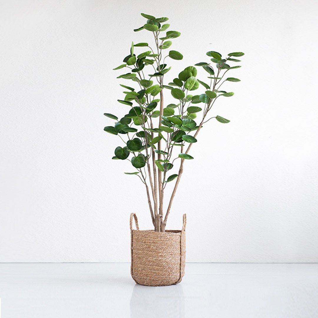 4X 180cm Green Artificial Indoor Pocket Money Tree Fake Plant Simulation Decorative Fast shipping On sale