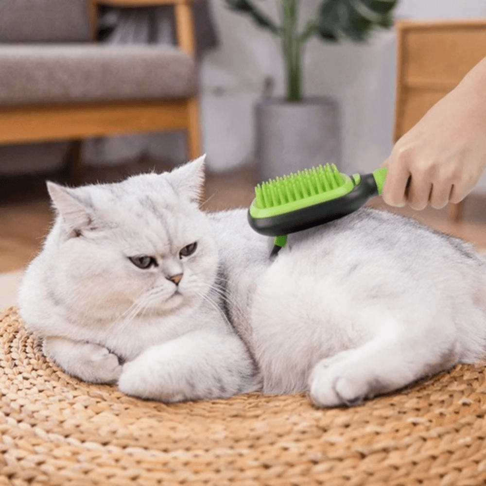5in1 Pet Grooming Set Cat Cares Fast shipping On sale