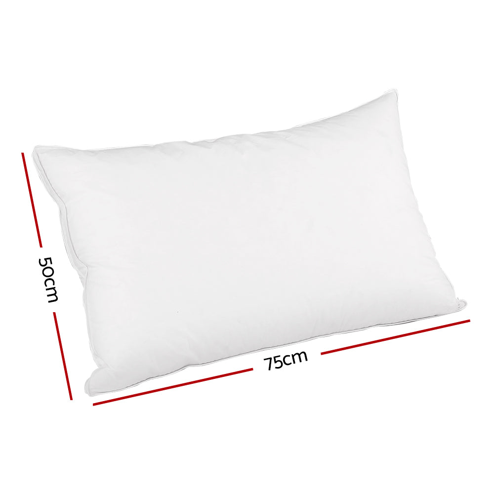 Bedding Goose Feather Down Twin Pack Pillow