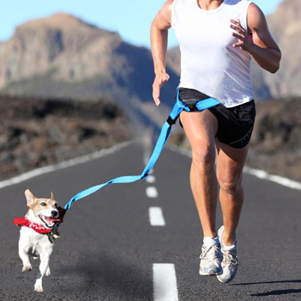 Adjustable Dog Hands Free Leash Waist Belt Buddy Jogging Walking Running Blue Cares Fast shipping On sale