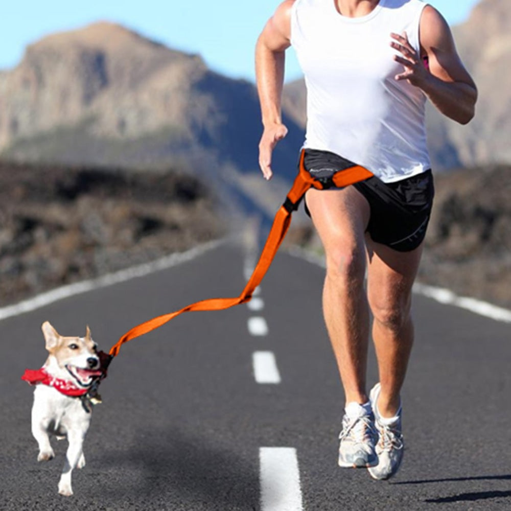Adjustable Dog Hands Free Leash Waist Belt Buddy Jogging Walking Running Orange Supplies Fast shipping On sale
