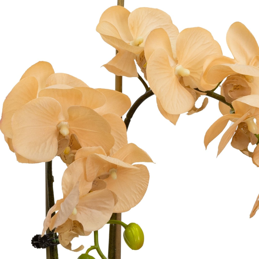 Apricot Orchid Artificial Fake Plant Decorative Arrangement 45cm In Cylinder Glass Fast shipping On sale