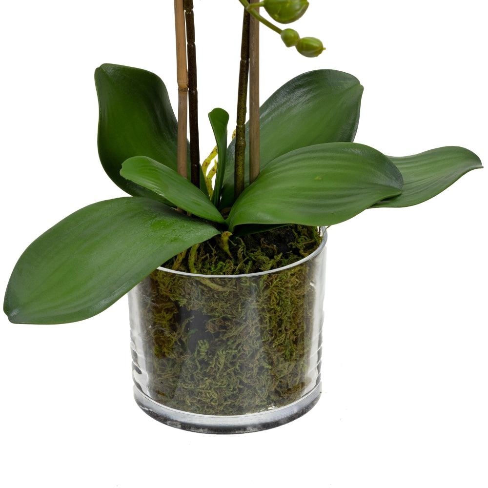 Apricot Orchid Artificial Fake Plant Decorative Arrangement 45cm In Cylinder Glass Fast shipping On sale