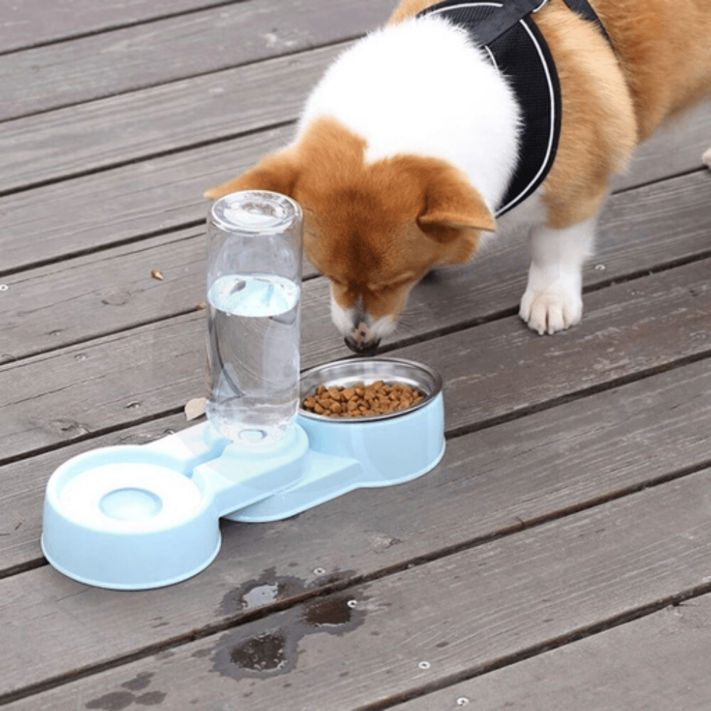 Automatic 2 in 1 Water & Food Feeder (Blue) Cat Cares Fast shipping On sale