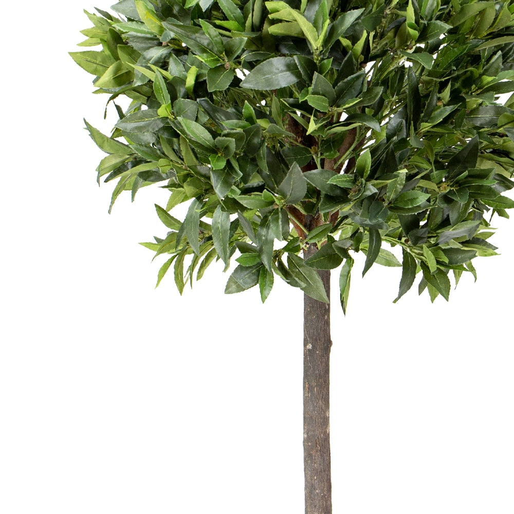 Bay Leaf Tree Artificial Fake Plant Flower Decorative 125cm In Pot Fast shipping On sale