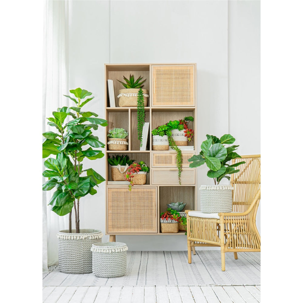 Berna Pine & Rattan 4 - Tier Bookcase Storage Display Cabinet - Natural Fast shipping On sale