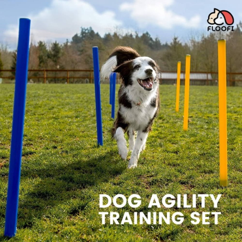 Dog Agility Training Equipment Set Cares Fast shipping On sale