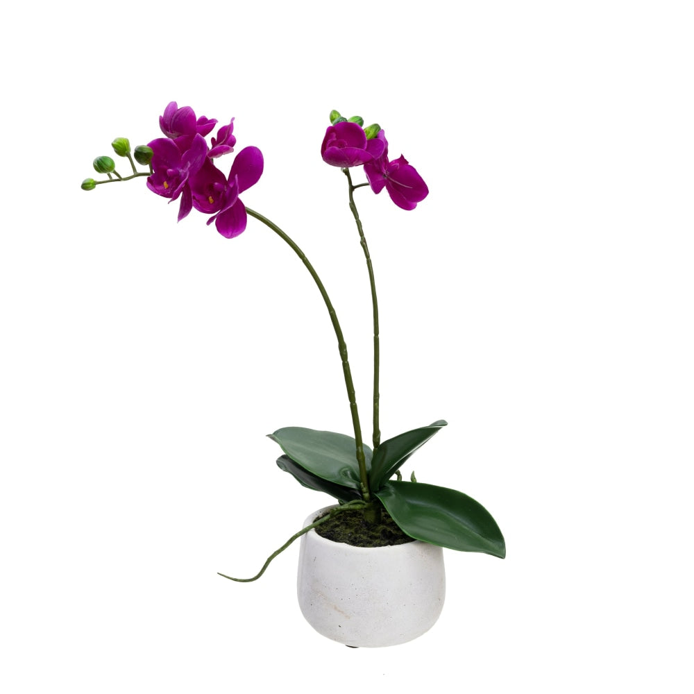 Double Spike Orchid Artificial Fake Plant Decorative Arrangement 45cm In Pot Fast shipping On sale