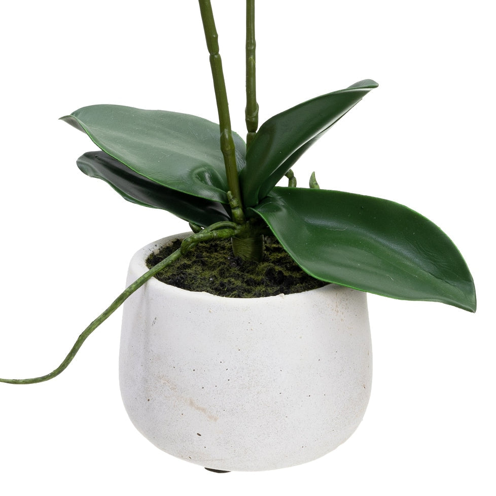 Double Spike Orchid Artificial Fake Plant Decorative Arrangement 45cm In Pot Fast shipping On sale