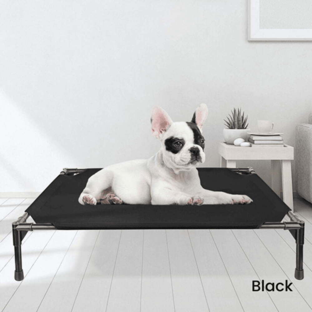 Elevated Pet Bed (XL Black) Cat Cares Fast shipping On sale