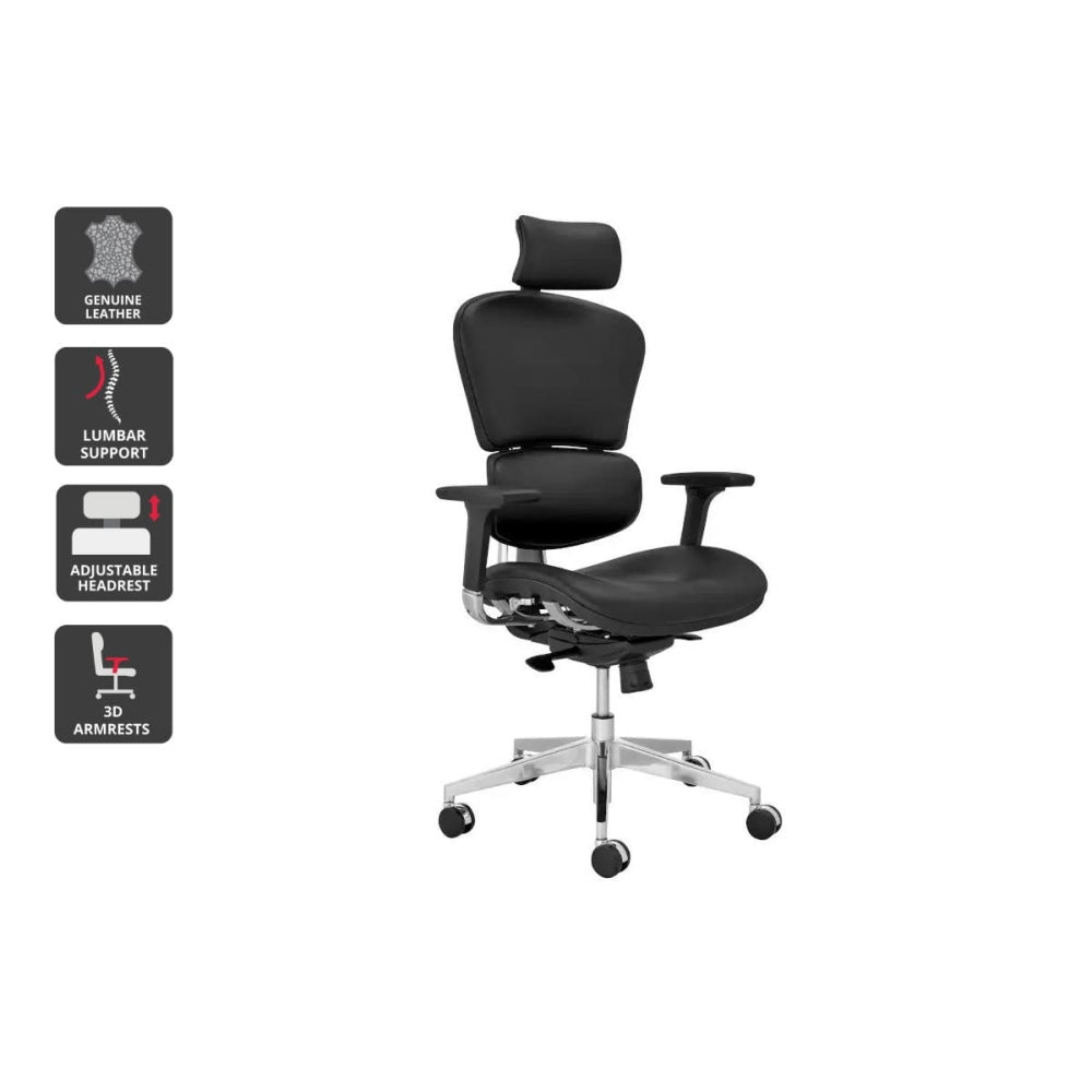 Finlay Ergonomic Executive Office Computer Work Task Chair - Black Leather Fast shipping On sale