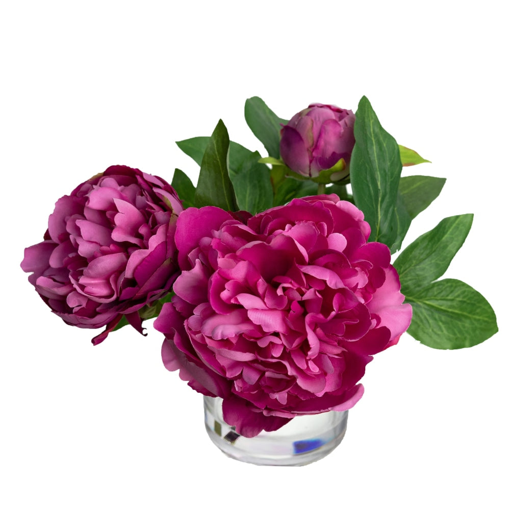 Fuchsia Peony Artificial Fake Plant Decorative Arrangement 20cm In Glass Fast shipping On sale
