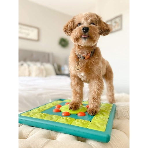Outward Hound MultiPuzzle Games Blue Level 4 Pet Toys Dog Cares Fast shipping On sale