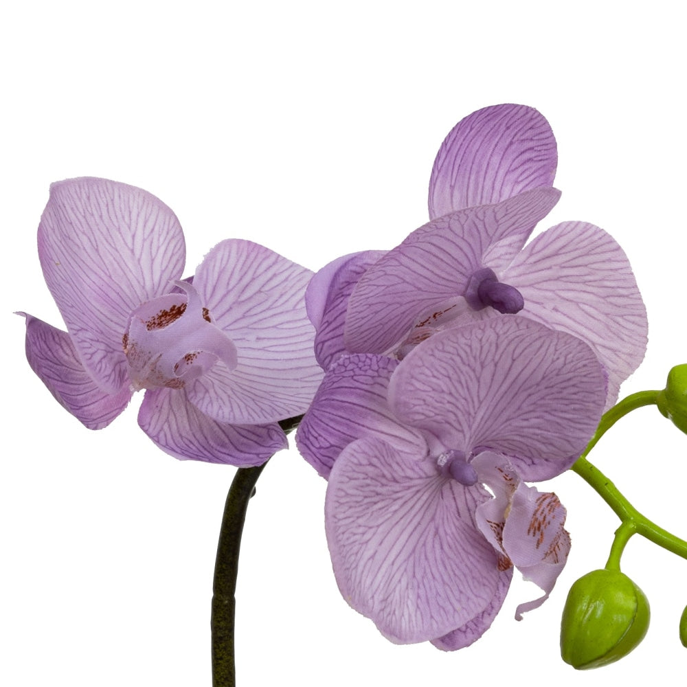 Lavender Orchid Artificial Fake Plant Decorative Arrangement 32cm In Square Glass Fast shipping On sale