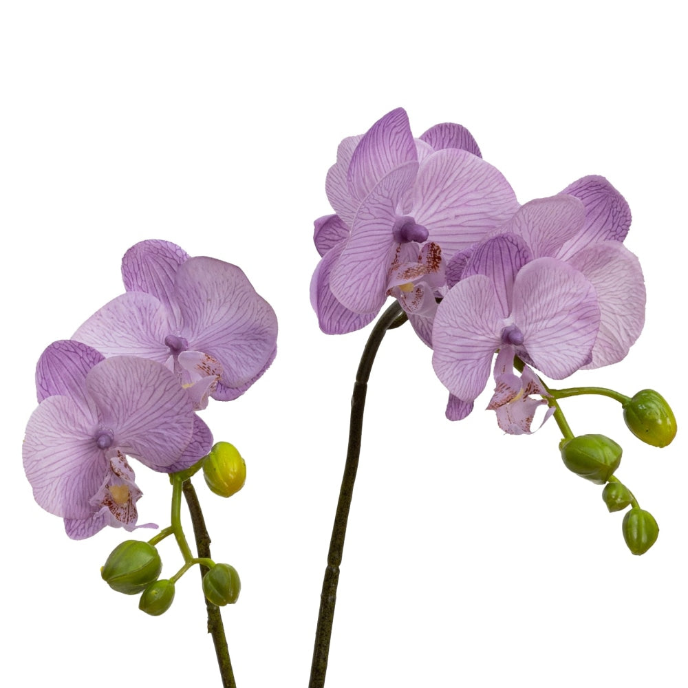 Lavender Orchid Artificial Fake Plant Decorative Arrangement 40cm In Cylinder Glass Fast shipping On sale