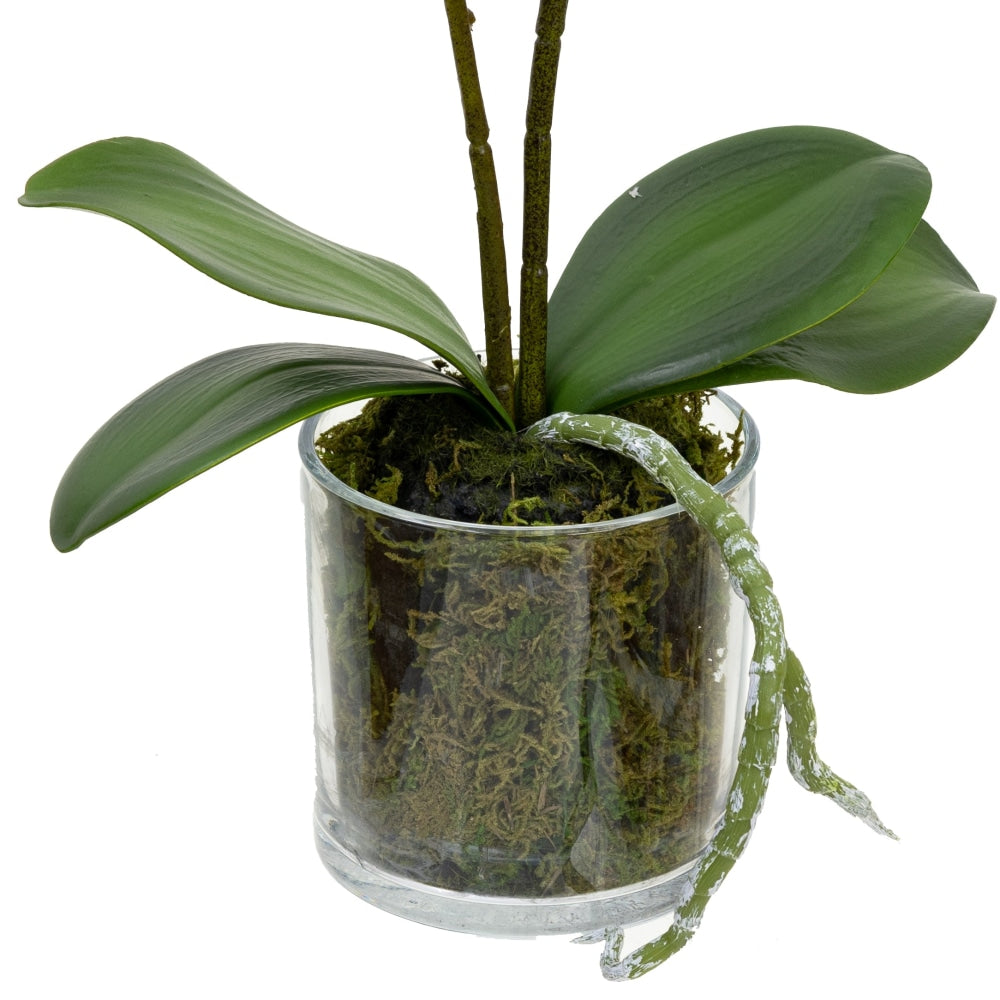 Lavender Orchid Artificial Fake Plant Decorative Arrangement 40cm In Cylinder Glass Fast shipping On sale